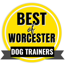 Best of Worcester